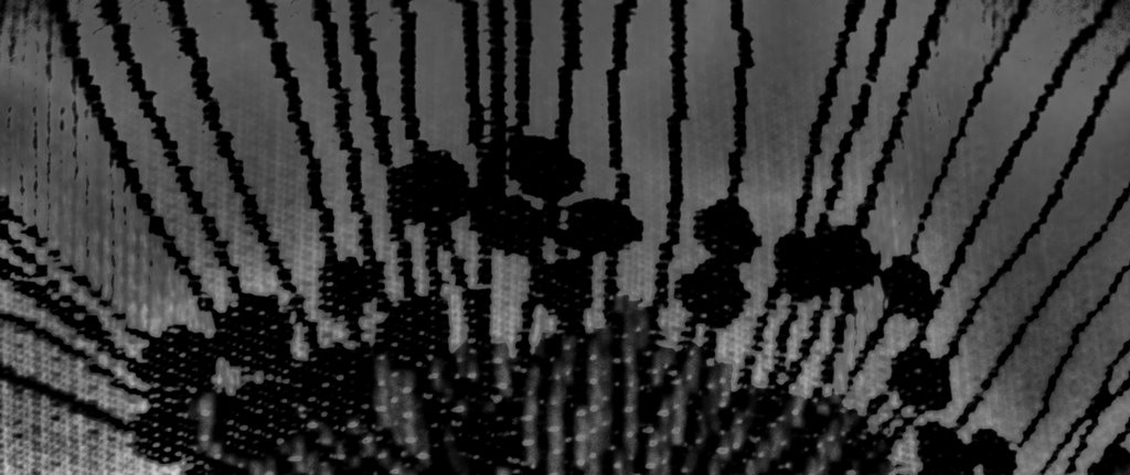 SDC11533